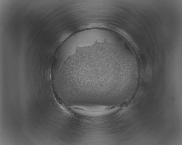 X0000067471241200604211558