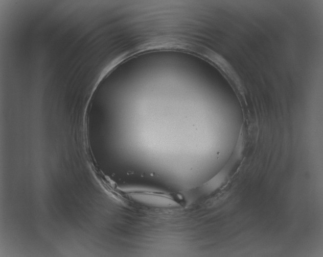 X0000067471242200604211558