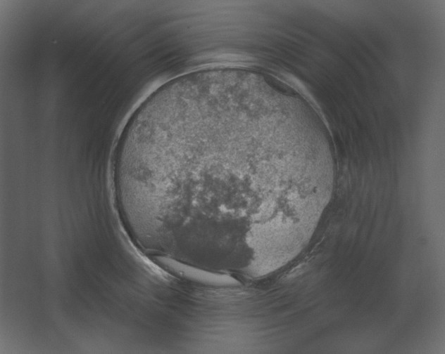 X0000067471243200604211558