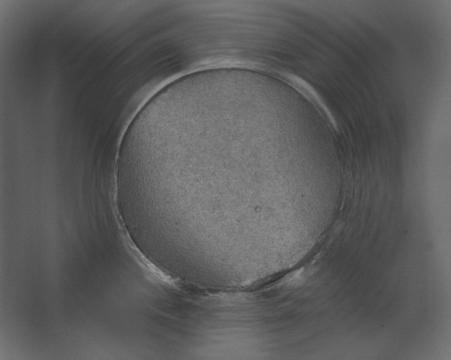 X0000067471244200604211559