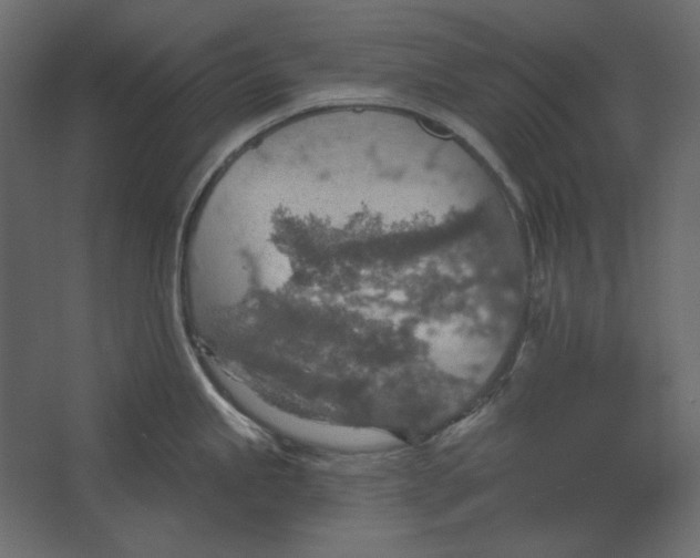 X0000067471245200604211559