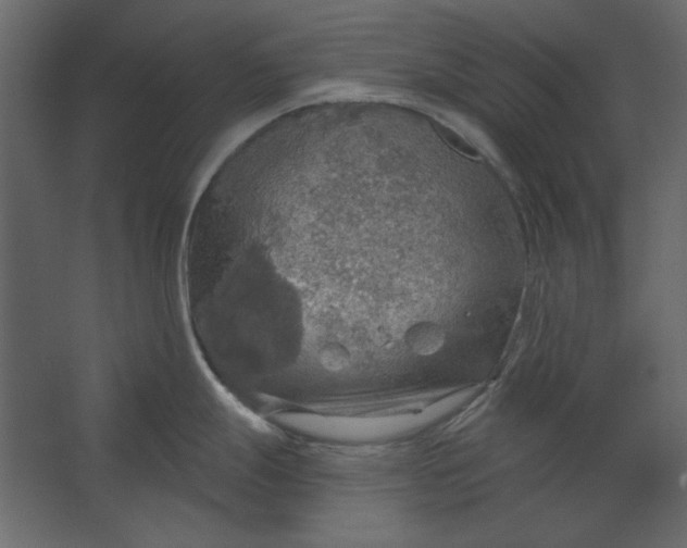 X0000067471247200604211559