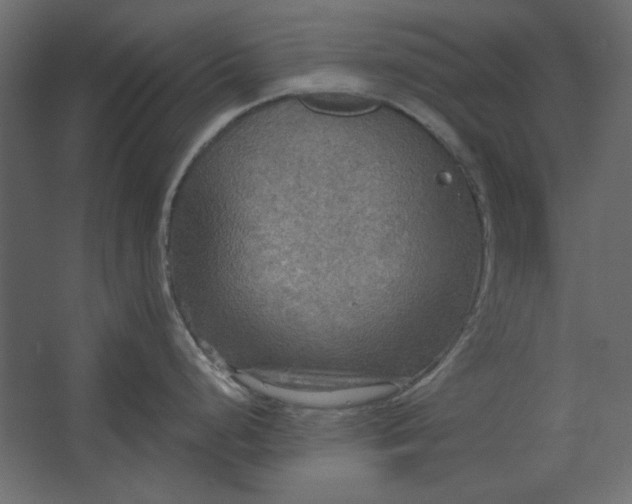 X0000067471248200604211559