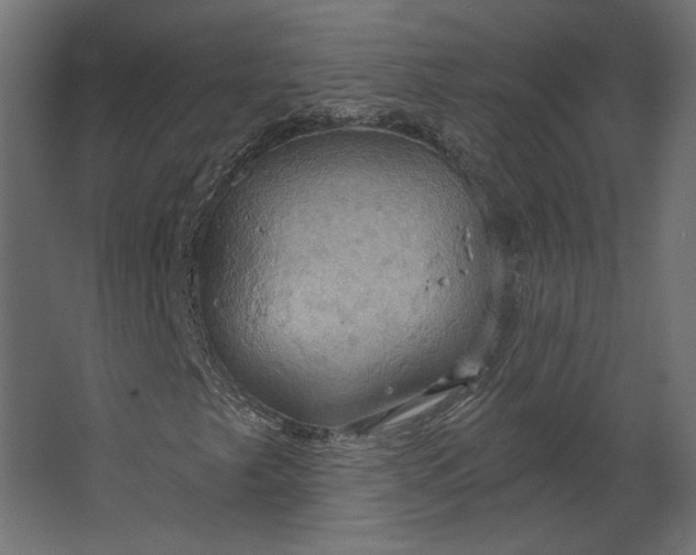 X0000067471249200604211558