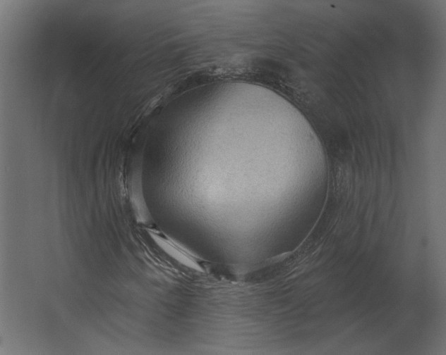 X0000067471250200604211558