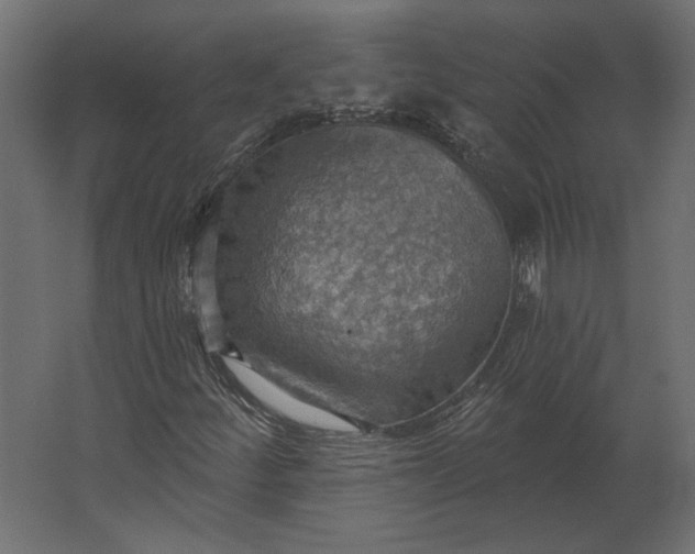 X0000067471252200604211558