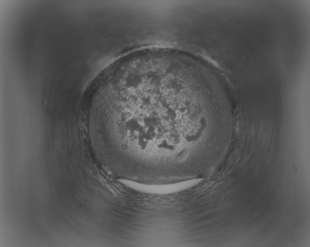 X0000067471255200604211558