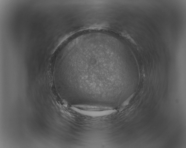 X0000067471256200604211558