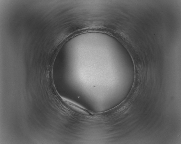 X0000067471257200604211558