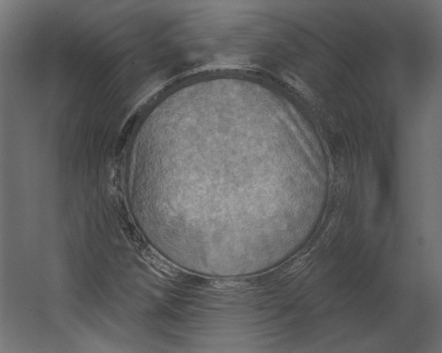 X0000067471258200604211558