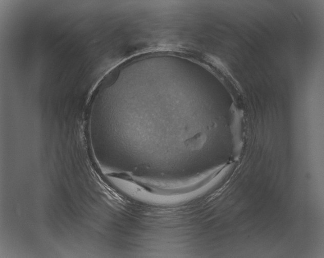 X0000067471260200604211558