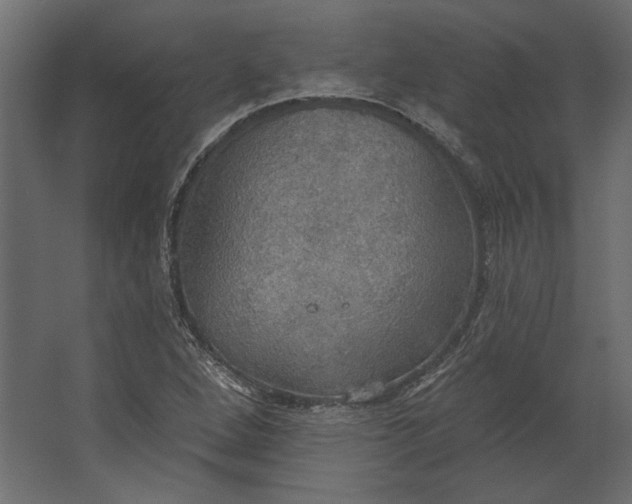 X0000067471264200604211558