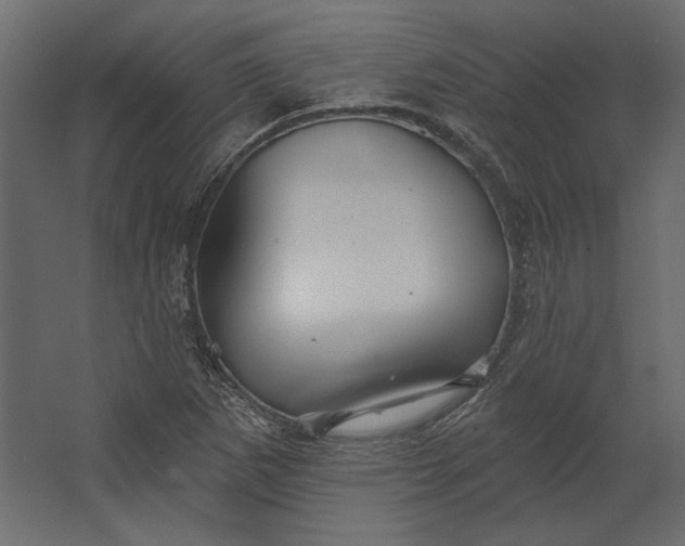 X0000067471265200604211557