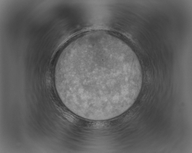 X0000067471266200604211557