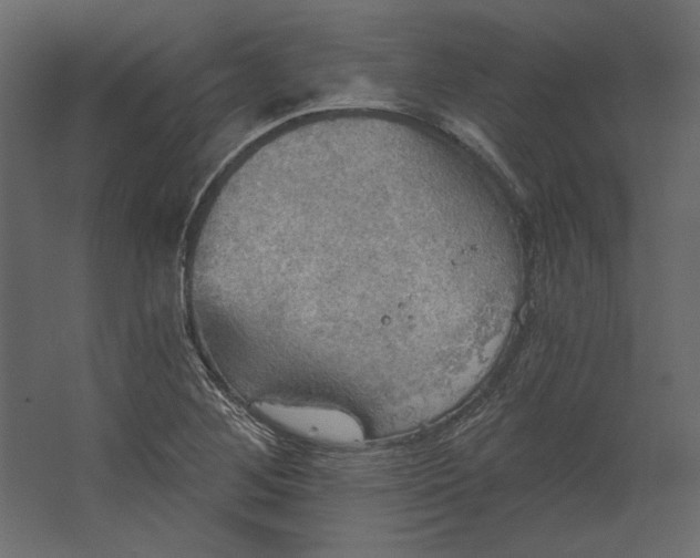 X0000067471268200604211557