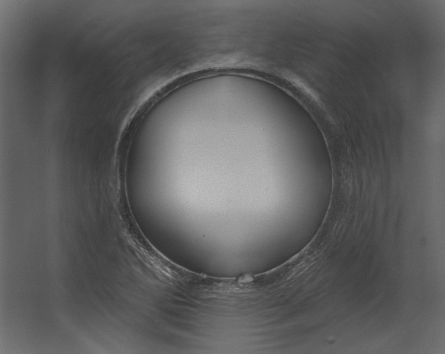 X0000067471270200604211557