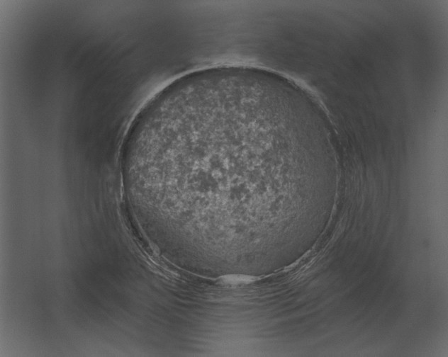 X0000067471271200604211557