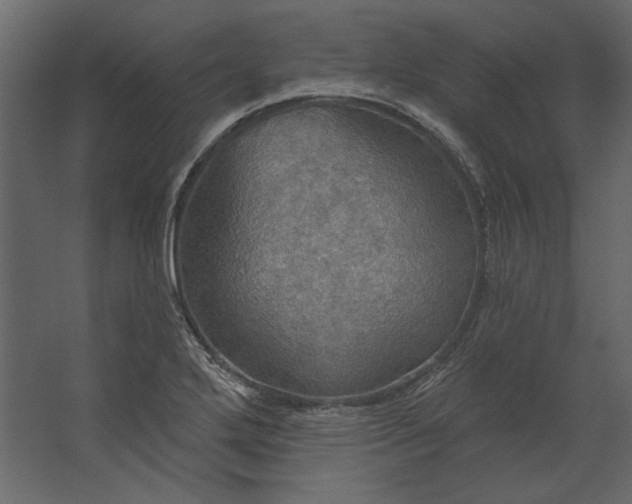 X0000067471272200604211557