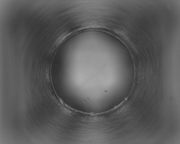 X0000067471273200604211557