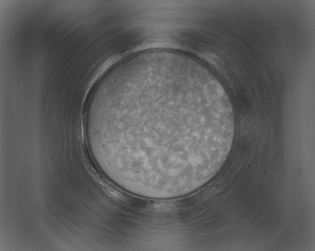 X0000067471274200604211557