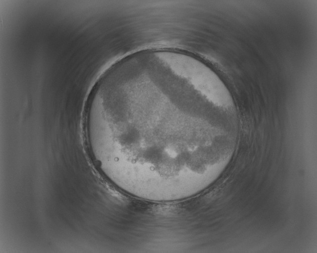 X0000067471278200604211557