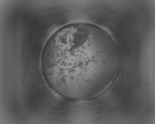 X0000067471279200604211557