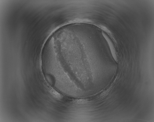 X0000067471280200604211557