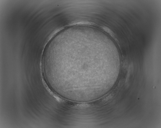 X0000067471282200604211557