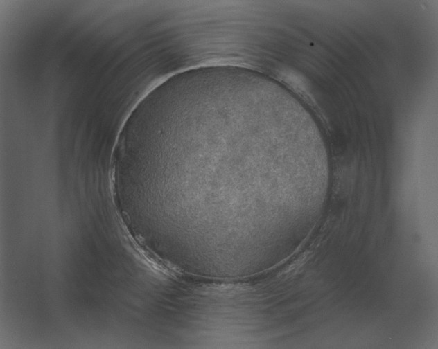 X0000067471284200604211557