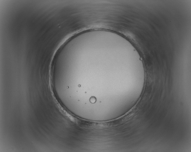 X0000067471286200604211557