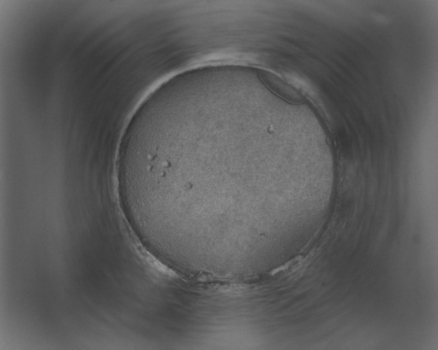 X0000067471288200604211557