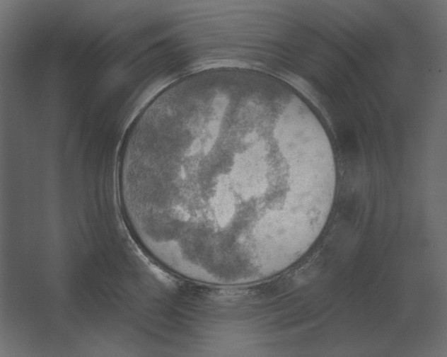 X0000067471290200604211557