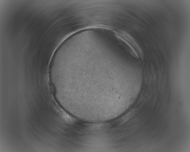 X0000067471292200604211557