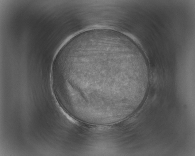 X0000067471294200604211557