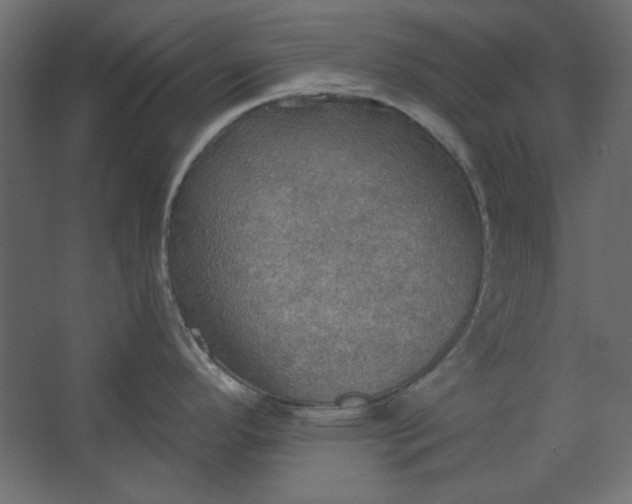 X0000067471296200604211557