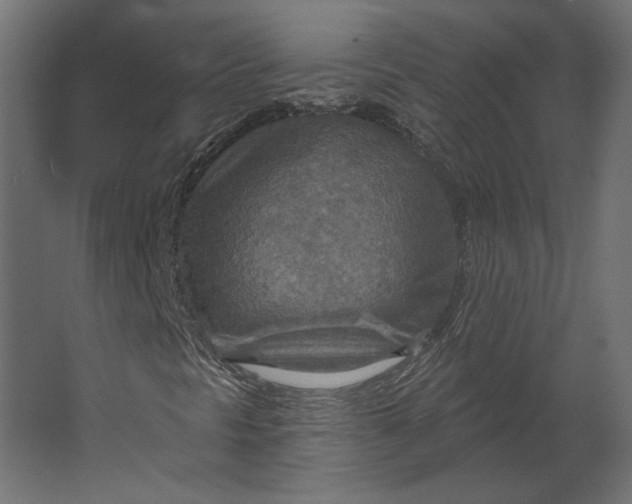 X0000067471297200604211556