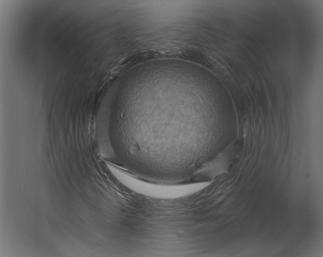 X0000067471298200604211556