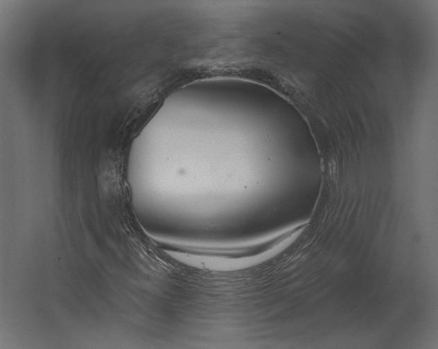 X0000067471300200604211556