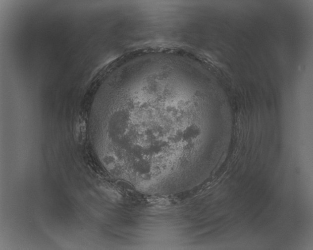 X0000067471302200604211556