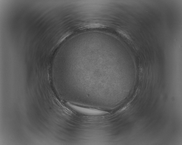 X0000067471305200604211556