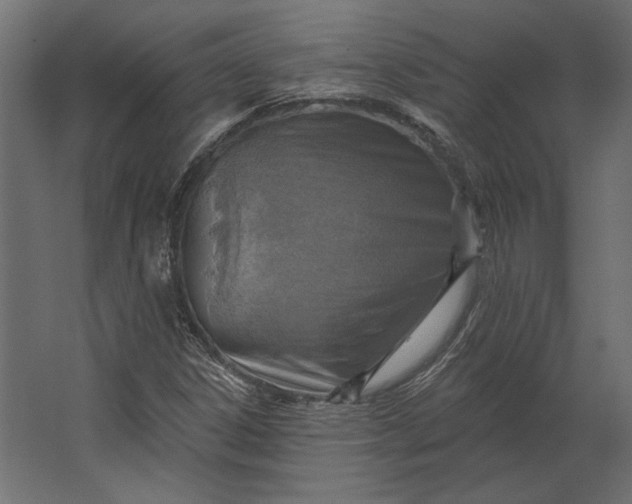 X0000067471306200604211556