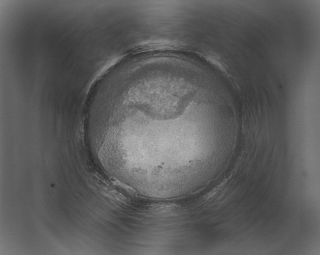 X0000067471309200604211556