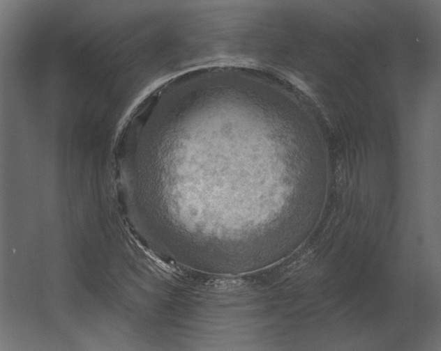 X0000067471310200604211556