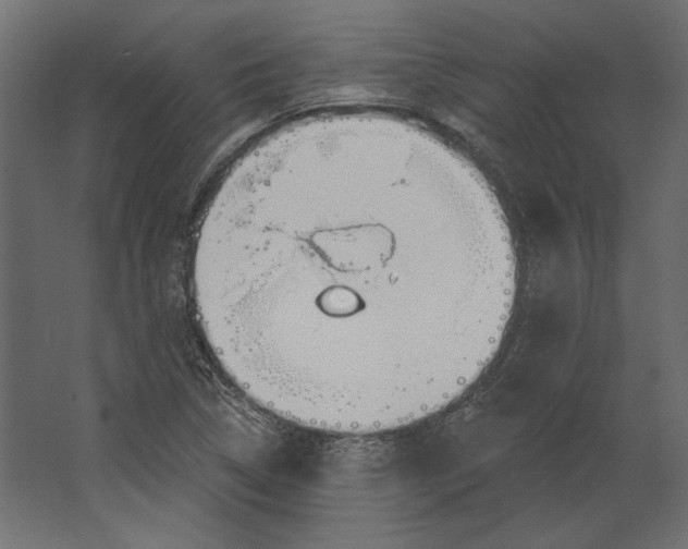 X0000067471314200604211556