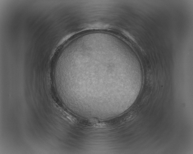 X0000067471315200604211556