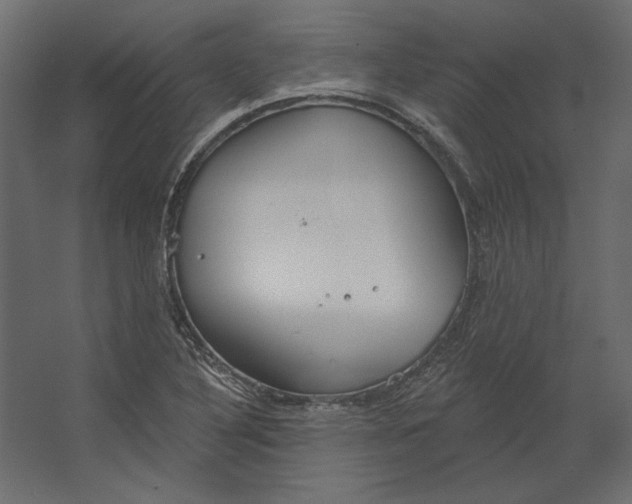 X0000067471316200604211556