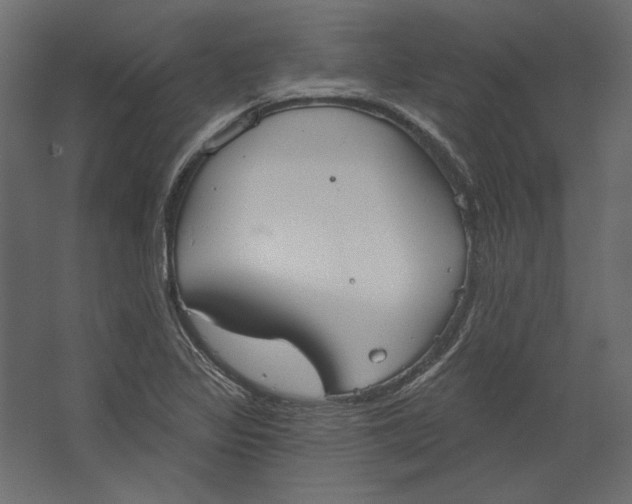 X0000067471317200604211557