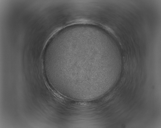 X0000067471318200604211557