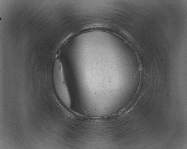 X0000067471321200604211557