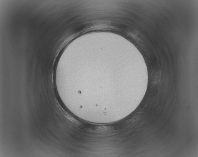 X0000067471322200604211557